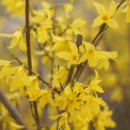 테크노봄공인중개사사무소 이미지