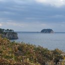 문섬·범섬천연보호구역 | 문섬·범섬 천연보호구역