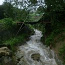 안터사슴농장 이미지