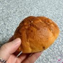 영월목장 | 강원도 영월 필수코스/ 영월 웨이팅맛집 - 영월소금빵 위치, 웨이팅 및 주차 내돈내산 솔직후기