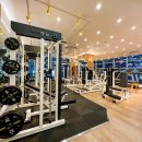 리바디핏 이미지