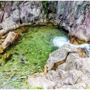 중원농협주유소 이미지