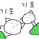 엘리헤어 이미지