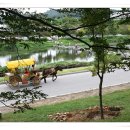 말바우약국 이미지