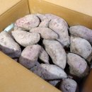 행복한작은고구마 이미지