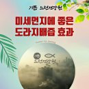 고서건강원 | 미세먼지에 좋은 도라지 배즙 효과 - 기쁜 느런 건강원
