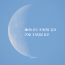 헤이브로우 눈썹&속눈썹