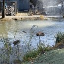 산들염소농장 이미지