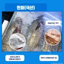 민어사랑 이미지