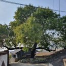 강동로3-24 이미지