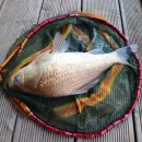 톨게이트 낚시터 이미지