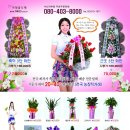 (주)코리아꽃도매
