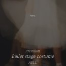 패션의상 | 다이애나 악테온, 파우스트 의상 No.1 후기