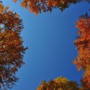 현충원 산책길 이미지