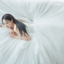 리얼포토그라피