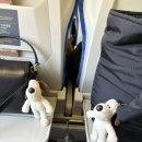 원주시티투어(순환형) | [원주 1박 2일 뚜벅이 여행] 시티투어버스 | 보릿고개 | 뮤지엄산 | 진미닭강정 | 원주 카페투어