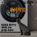 한강세탁 이미지