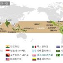 커피엠 - 안양시 동안구 관악대로454번길 7 | 커피엠