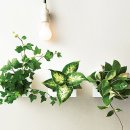 원예테라피 이미지