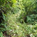 용화1리 이미지