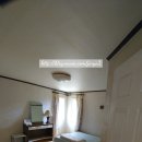 바다가 그리운 나무 이미지