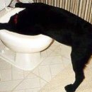 대림헬스 이미지