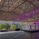 팔로니아 복싱 이미지