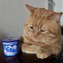 나도 오늘부터 체스왕 | 25년 11월 05일~11월 10일 (수~월) 주말은 좋은거야