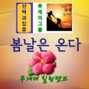 에스디플랜 이미지