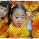 환타랜드숲유치원 이미지