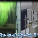 분도인쇄소