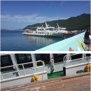계성메디칼 Daum카페