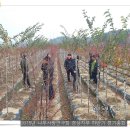 성재경농장 이미지