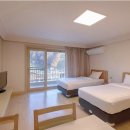 상용목장 | 비발디파크 소노벨, 소노펠리체, 빌리지 및 시설후기