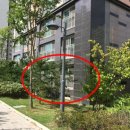 평택이화초등학교 이미지