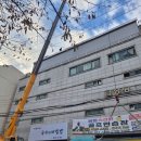 금정탕 이미지