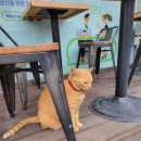 지에스분당정자역점 이미지