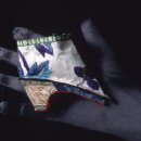 CW-1243-01 이미지