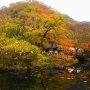 고운나라 이미지