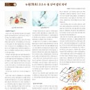 정선이야기 Daum카페
