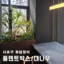 나무의 품격 조화조경 전문업체 서초구 대나무 플랜트박스 시공