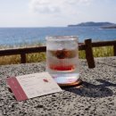 오션스케치 이미지