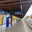 리마트 | 취리히 카드로 리마트 강 유람선(크루즈) 무료 이용하고 Sihlcity 쇼핑센터 구경하기