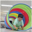 팀퍼스트 태권도장 이미지