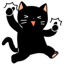 댕냥이키친 이미지