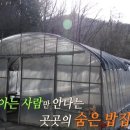 만경슈퍼