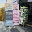 아따멍멍 미용앤호텔 이미지
