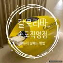 세라젬 인천송도직영점 | [인천/송도] 칼로리바 송도직영점, 송도다이어트 누워서 살 뺀 솔직 후기(전, 후 체지방 감량)