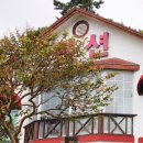 하얀둥지펜션 이미지