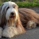 스카이동물병원 이미지